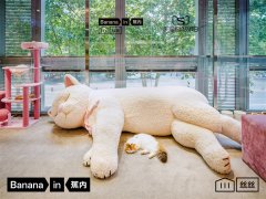 体感科学服饰品牌蕉内，于成都门店打造「丝滑躺平」限时猫咖